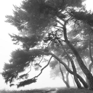 80. 임한리, 보은 2019