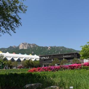 서울 둘레길 1코스(도봉산역 → 당고개역)